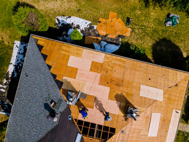 Best Commercial Roofing Services  in Robert Lee, TX