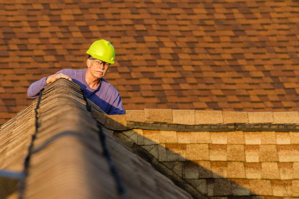 Best Roof Gutter Cleaning  in Robert Lee, TX