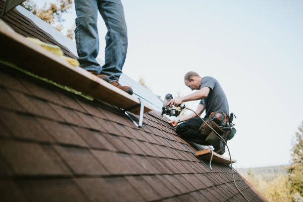 Best Gutter Installation and Roofing  in Robert Lee, TX